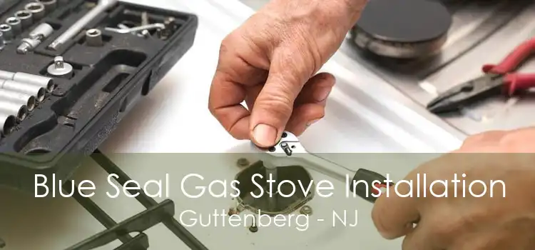 Blue Seal Gas Stove Installation Guttenberg - NJ