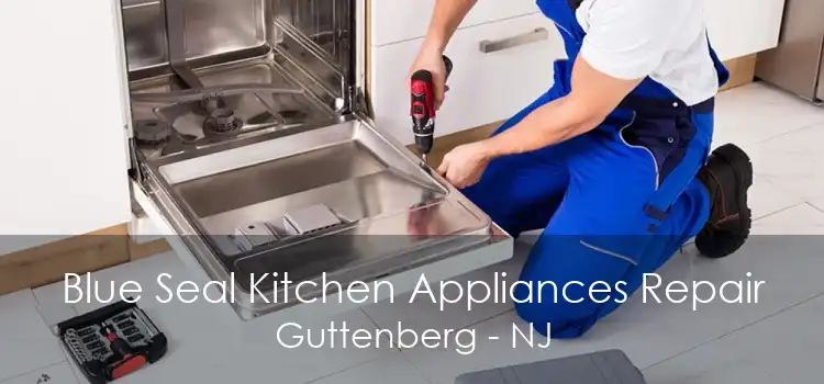 Blue Seal Kitchen Appliances Repair Guttenberg - NJ