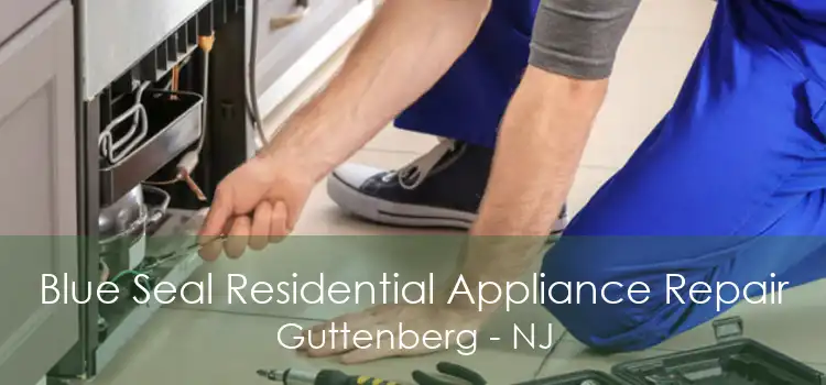 Blue Seal Residential Appliance Repair Guttenberg - NJ