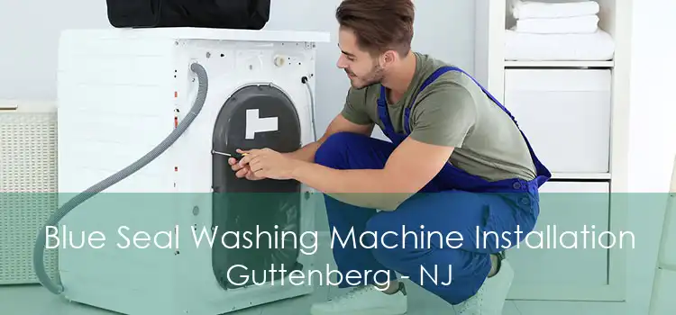 Blue Seal Washing Machine Installation Guttenberg - NJ