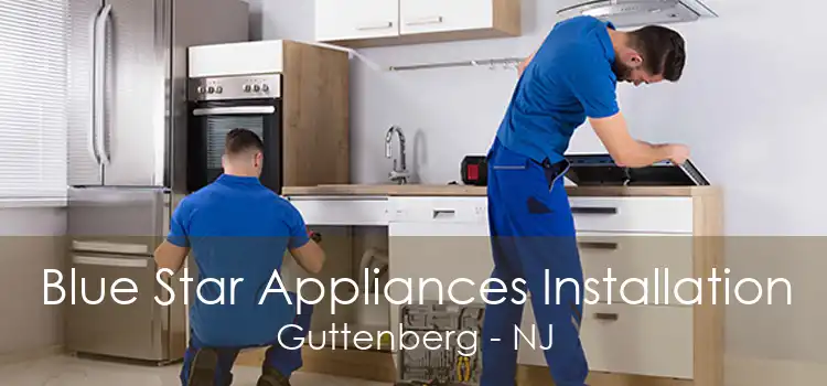 Blue Star Appliances Installation Guttenberg - NJ