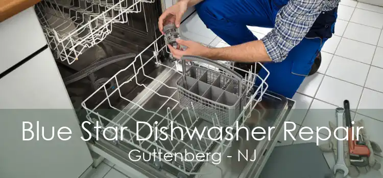 Blue Star Dishwasher Repair Guttenberg - NJ