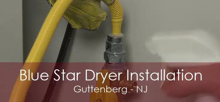 Blue Star Dryer Installation Guttenberg - NJ