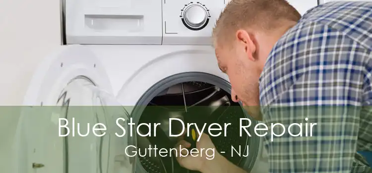 Blue Star Dryer Repair Guttenberg - NJ