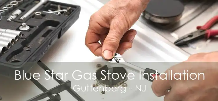 Blue Star Gas Stove Installation Guttenberg - NJ