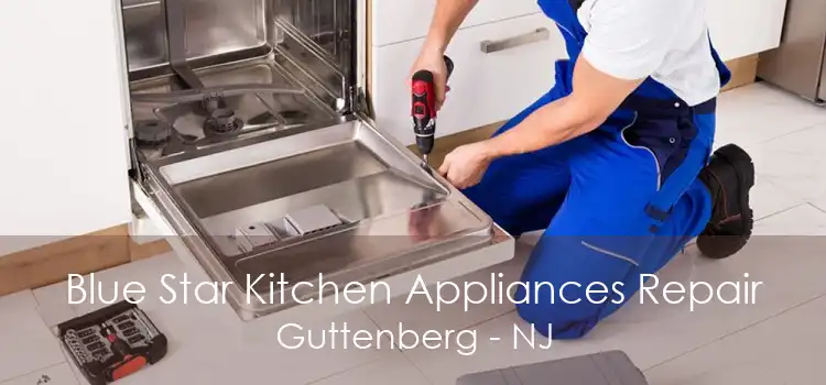 Blue Star Kitchen Appliances Repair Guttenberg - NJ