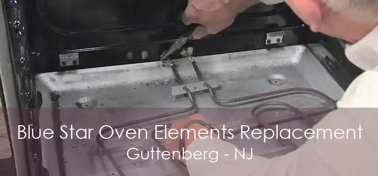 Blue Star Oven Elements Replacement Guttenberg - NJ