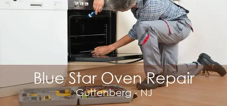 Blue Star Oven Repair Guttenberg - NJ