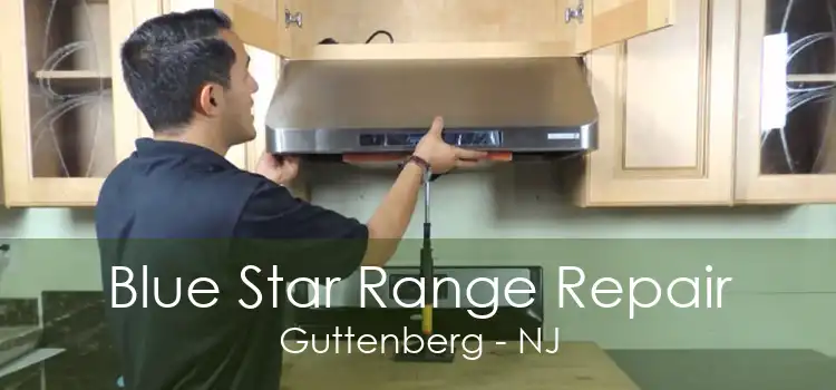 Blue Star Range Repair Guttenberg - NJ