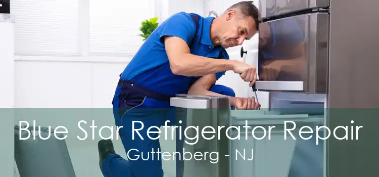 Blue Star Refrigerator Repair Guttenberg - NJ