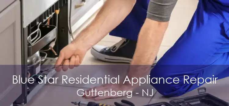 Blue Star Residential Appliance Repair Guttenberg - NJ