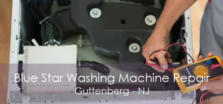 Blue Star Washing Machine Repair Guttenberg - NJ