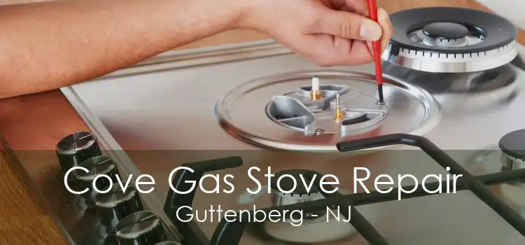 Cove Gas Stove Repair Guttenberg - NJ