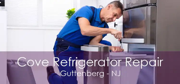 Cove Refrigerator Repair Guttenberg - NJ