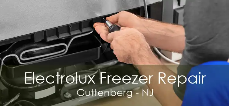 Electrolux Freezer Repair Guttenberg - NJ