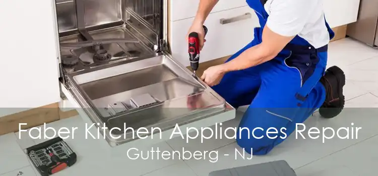 Faber Kitchen Appliances Repair Guttenberg - NJ