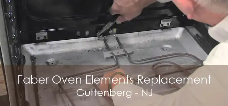 Faber Oven Elements Replacement Guttenberg - NJ