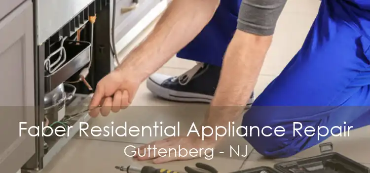 Faber Residential Appliance Repair Guttenberg - NJ