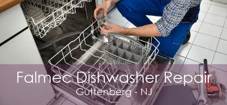 Falmec Dishwasher Repair Guttenberg - NJ