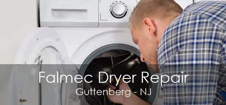 Falmec Dryer Repair Guttenberg - NJ