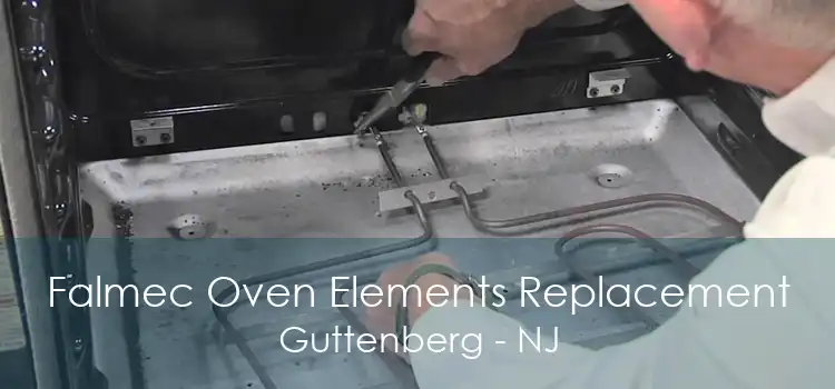 Falmec Oven Elements Replacement Guttenberg - NJ