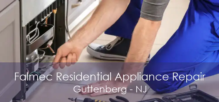 Falmec Residential Appliance Repair Guttenberg - NJ