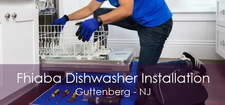 Fhiaba Dishwasher Installation Guttenberg - NJ