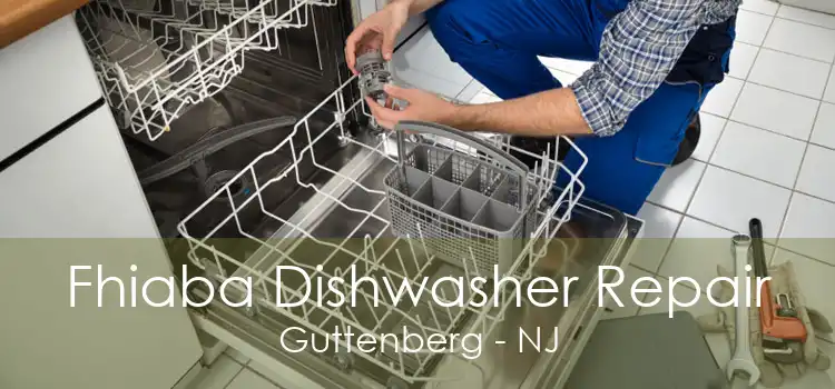 Fhiaba Dishwasher Repair Guttenberg - NJ