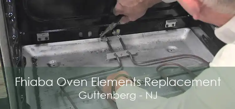 Fhiaba Oven Elements Replacement Guttenberg - NJ