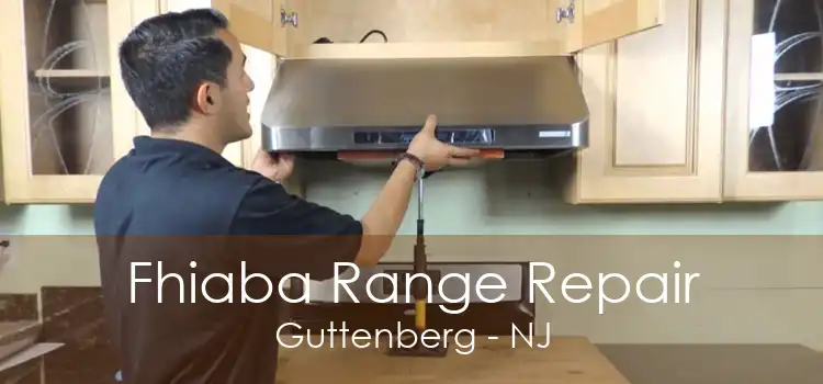 Fhiaba Range Repair Guttenberg - NJ