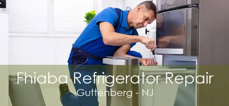 Fhiaba Refrigerator Repair Guttenberg - NJ