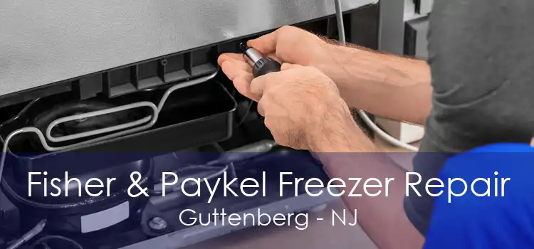 Fisher & Paykel Freezer Repair Guttenberg - NJ