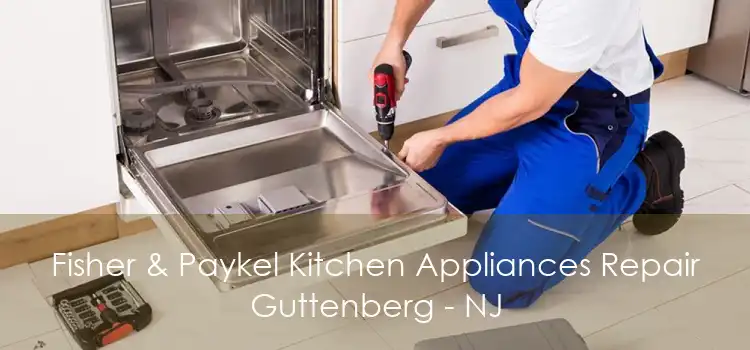 Fisher & Paykel Kitchen Appliances Repair Guttenberg - NJ