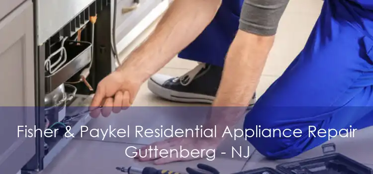 Fisher & Paykel Residential Appliance Repair Guttenberg - NJ