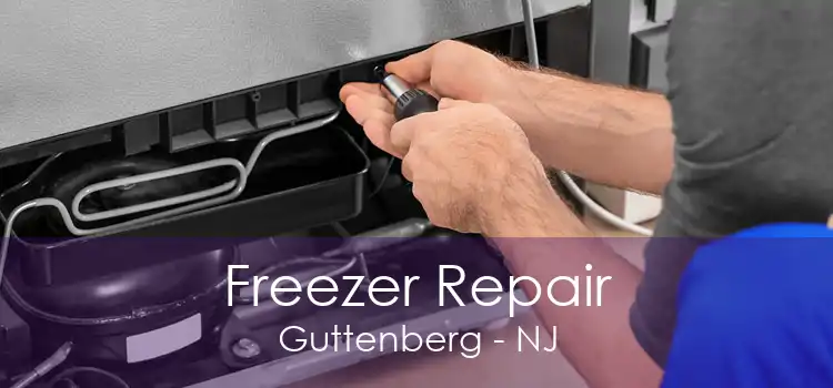 Freezer Repair Guttenberg - NJ