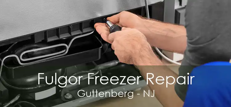 Fulgor Freezer Repair Guttenberg - NJ