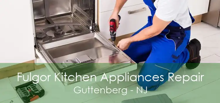 Fulgor Kitchen Appliances Repair Guttenberg - NJ