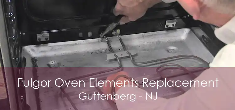 Fulgor Oven Elements Replacement Guttenberg - NJ