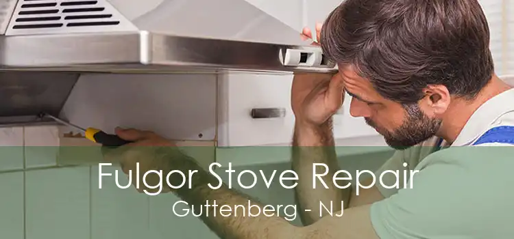 Fulgor Stove Repair Guttenberg - NJ