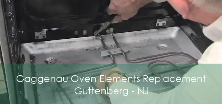 Gaggenau Oven Elements Replacement Guttenberg - NJ