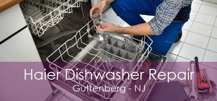 Haier Dishwasher Repair Guttenberg - NJ