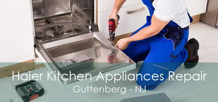 Haier Kitchen Appliances Repair Guttenberg - NJ