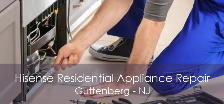 Hisense Residential Appliance Repair Guttenberg - NJ