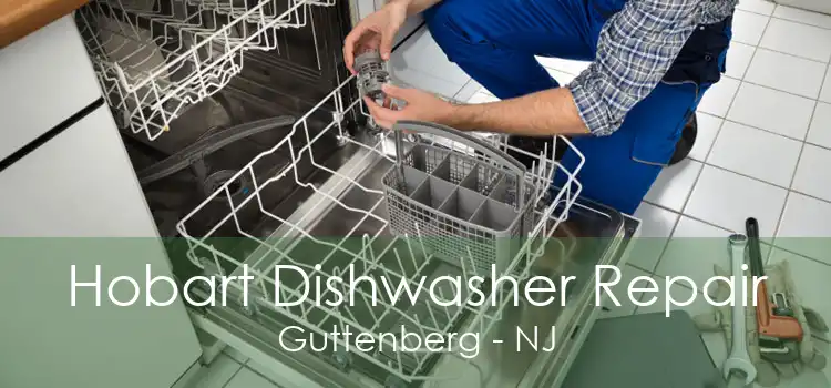 Hobart Dishwasher Repair Guttenberg - NJ