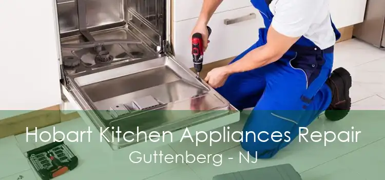 Hobart Kitchen Appliances Repair Guttenberg - NJ