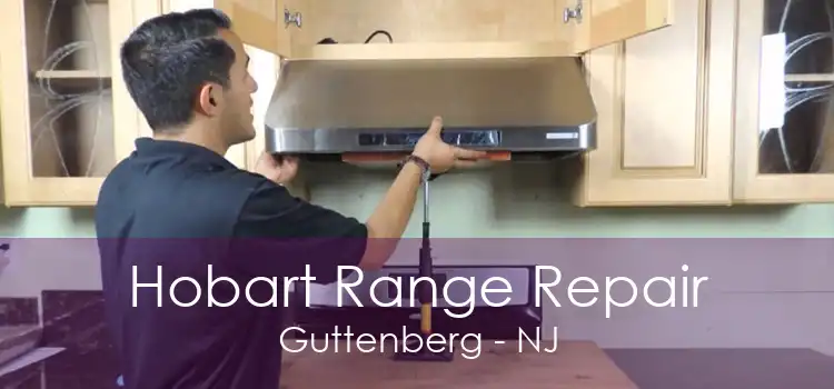 Hobart Range Repair Guttenberg - NJ