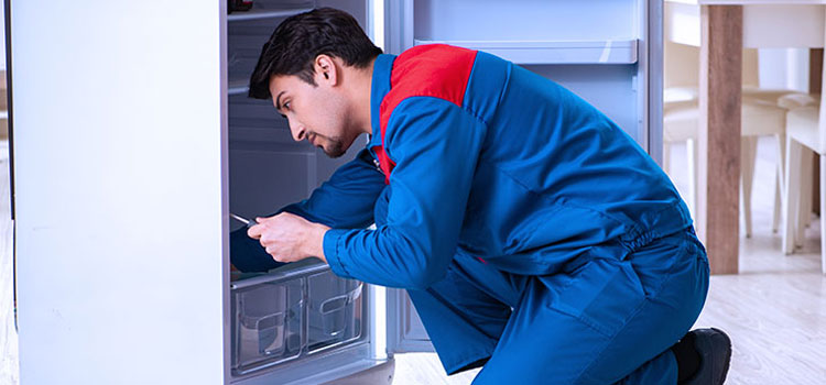 Freezer Repair Services in Guttenberg, New Jersey