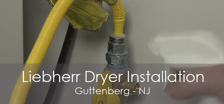 Liebherr Dryer Installation Guttenberg - NJ