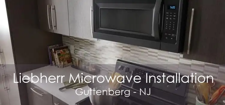 Liebherr Microwave Installation Guttenberg - NJ