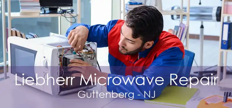 Liebherr Microwave Repair Guttenberg - NJ